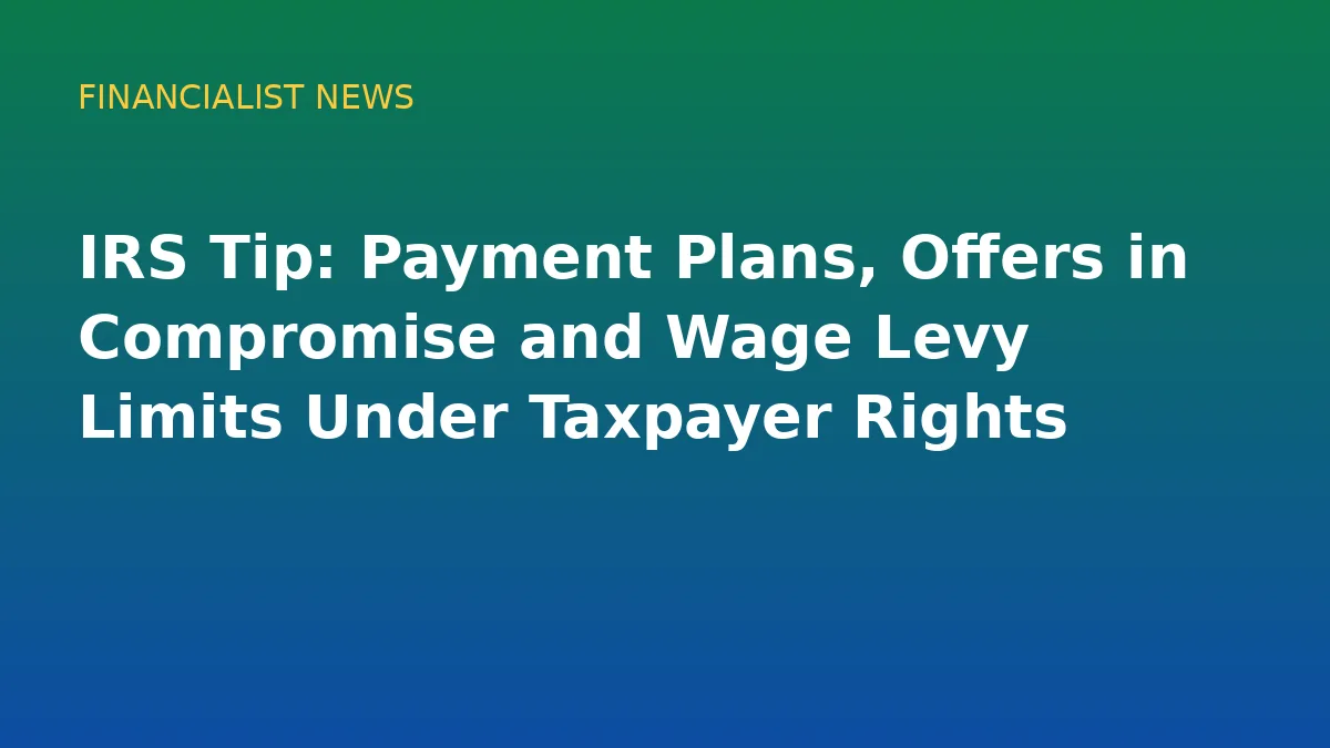 IRS Tip: Payment Plans, Offers in Compromise and Wage Levy Limits Under Taxpayer Rights - original conceptual illustration